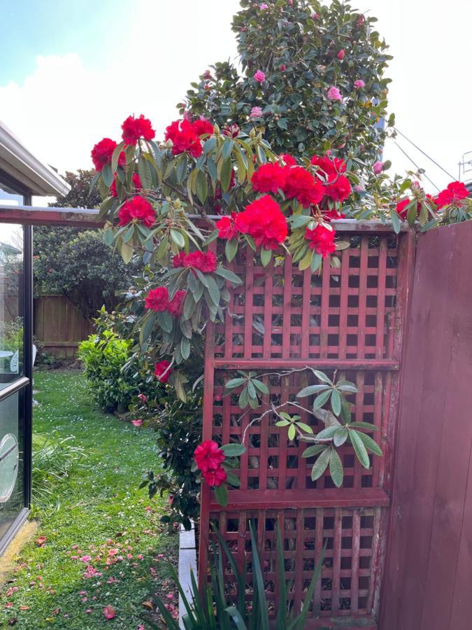 Charm On Chippendale Ensuite B&B Palmerston North Luaran gambar